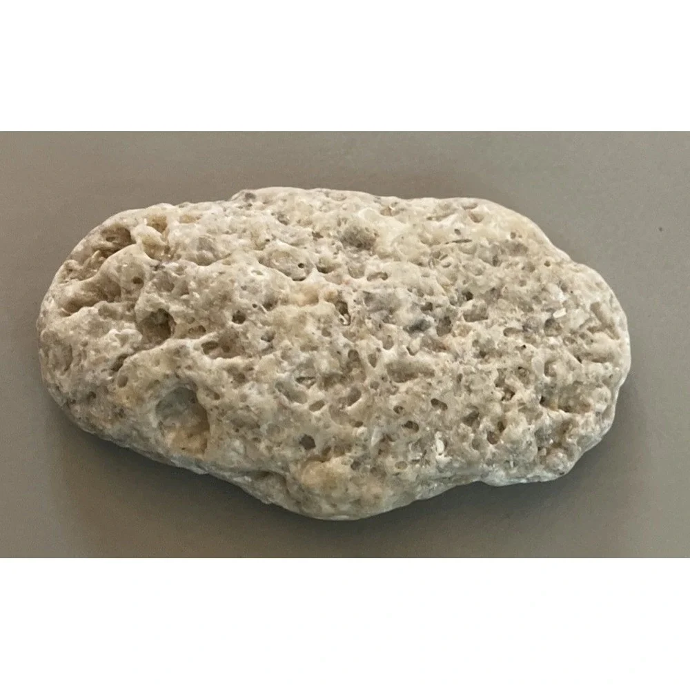 Fossilized Coral Natural Surf Tumbled 5.5
